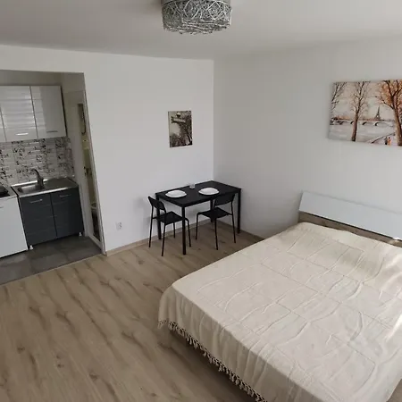 Apartment Apartman Lena Banovo Brdo